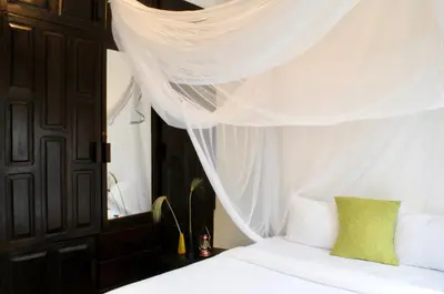 a bedroom with a bed with a white canopy at OYA Guest House in Usa River