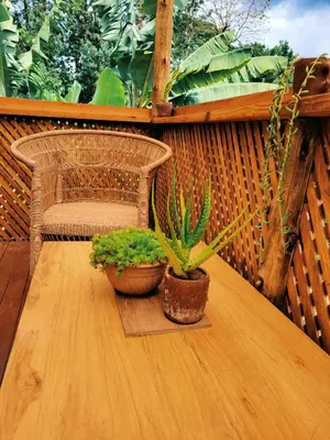 Gallery image of Natural villa Arusha in Arusha