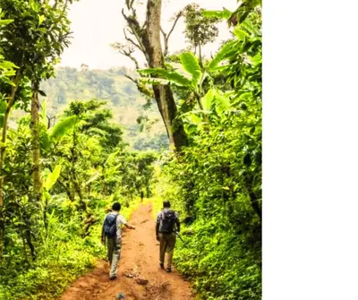 two men walking down a dirt road in the jungle at Hellen's Riverside villas in Moshi