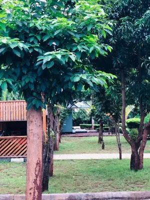 a park with trees and a bench in the grass at Maro Homestay Sango in Old Moshi