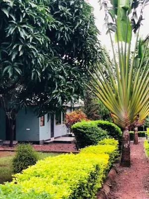 a garden with bushes and trees and a building at Maro Homestay Sango in Old Moshi