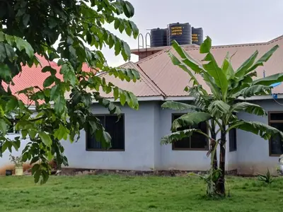 a house with a palm tree in front of it at Arusha Serene Apartments in Arusha