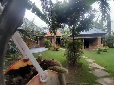 a house with a palm tree and a yard at Unique Heritage in Arusha