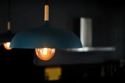 aendant light with a light bulb hanging from it at Luxury 2BR apartment in Usa River