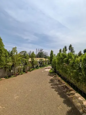 a road in a park with trees and a fence at Fly Africa Village in Arusha