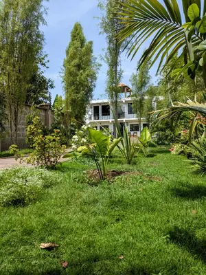 a yard with green grass and a building in the background at Fly Africa Village in Arusha