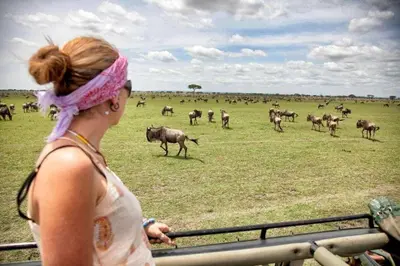 a woman looking at a herd of animals in a field at Domus Aurea Safaris in Oldeani