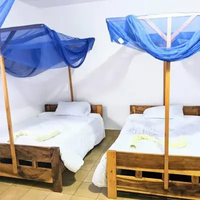 Domus Aurea Safaris