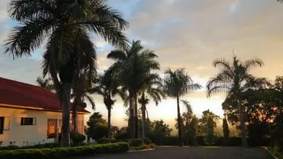 a group of palm trees in front of a house at KILEMAKYARO Mt LODGE in Uru