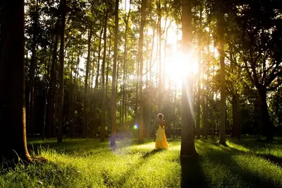 a woman walking through a forest with the sun shining through the trees at KILEMAKYARO Mt LODGE in Uru