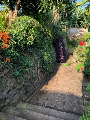 a garden with a stone wall and a walkway at Peakline Apartments in Arusha
