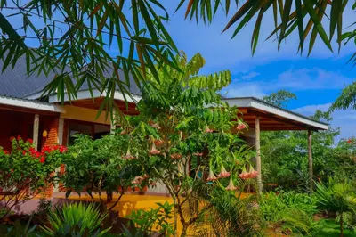 a house with a lot of plants in front of it at Moonbow lodge in Mto wa Mbu