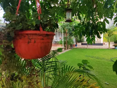 a large red pot hanging from a tree at Garden View with detached Bathroom in Arusha