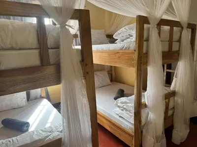 a group of bunk beds in a room at Mahali House in Moshi