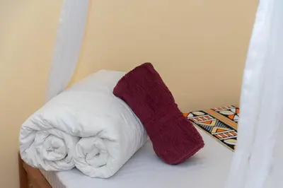 a bed with two pillows on top of it at Mahali House in Moshi