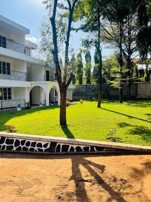 a park with a tree and a building at Mahali House in Moshi