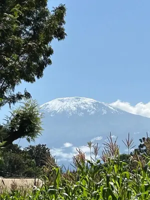 a snow covered mountain in the sky with trees at Tukutane Kilimanjaro - Homestay in Uru