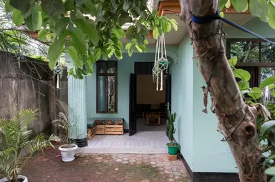 a front porch of a house with plants at Tukutane Kilimanjaro - Homestay in Uru