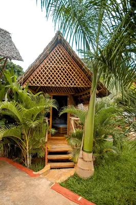 a house with a palm tree in front of it at Moshi hostel lodge in Msaranga
