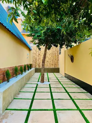 a tree sits in the middle of a sidewalk at Sereno Cabana in Arusha