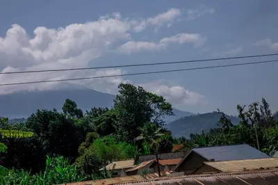 Gallery image of The FAMILY FARM in Arusha