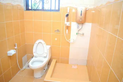 a bathroom with a toilet and a shower at Silent Inn Apartments in Arusha