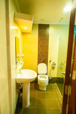 a bathroom with a white toilet and a sink at Parrot Hotel Arusha in Arusha