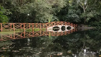 a bridge over a body of water with trees at Ngare Sero Mountain Lodge in Usa River