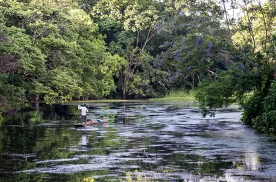 a man standing in the middle of a river at Ngare Sero Mountain Lodge in Usa River