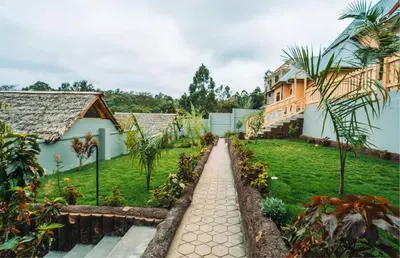 a view of the garden of a house at Samora River Lodge in Arusha
