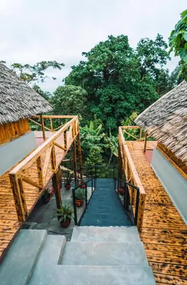 a staircase leading to a building with thatched roofs at Samora River Lodge in Arusha