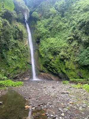 Gallery image of Midawe Kwetu Homestay in Arusha
