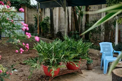 a garden with potted plants and a blue chair at Mama Ket Homes Apartment in Arusha