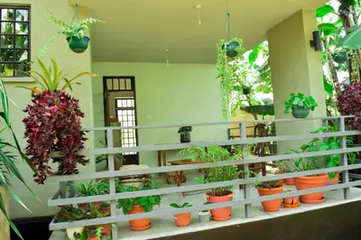 a room filled with lots of potted plants at Mama Ket Homes Apartment in Arusha