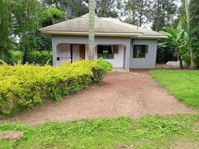 Gallery image of Banana tree village in Uru