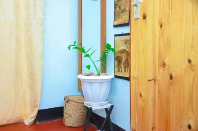 Gallery image of Destination House in Marombosa