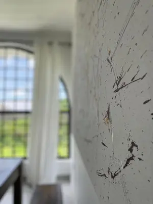 a close up of a scratched up wall in a building at Ndani House in Arusha