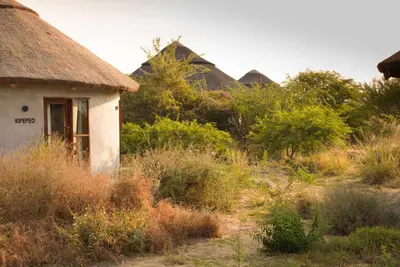an old house with a thatched roof in a field at Suricata Boma Lodge in Mto wa Mbu