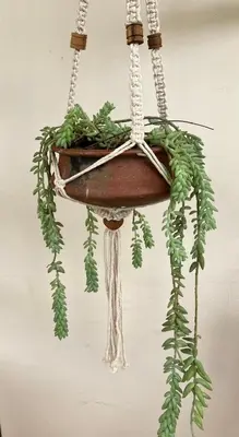 a potted plant in a pot hanging on a wall at Allamanda House Meru in Arusha