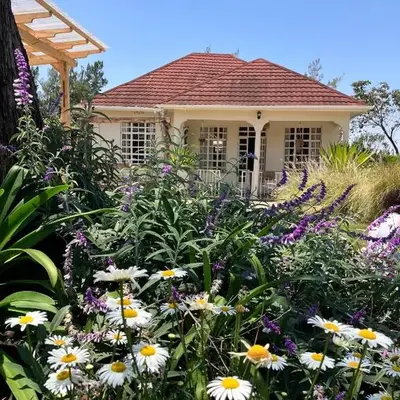 Allamanda House Meru