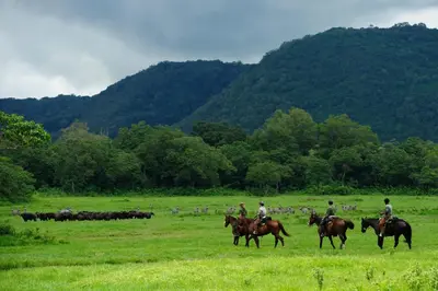 a group of people riding horses in a field with animals at Sero Safaris Hostel in Arusha