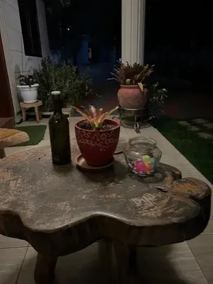 a table with a glass bottle and a plant on it at Lavish luxury homes in Nkoanrua
