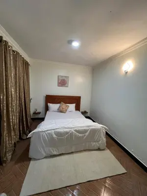 a bedroom with a white bed with a cat on it at Lavish luxury homes in Nkoanrua