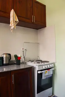 a kitchen with a stove and a counter top at My Moka Arusha in Arusha