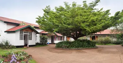 a tree in front of a house with a driveway at Marangu Hotel in Marangu