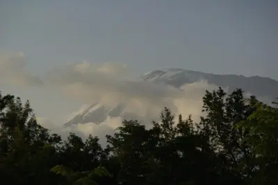 a mountain obscured by clouds with trees in the foreground at Marangu Hotel in Marangu