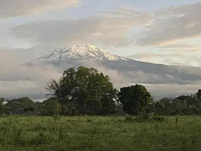 a snow covered mountain in a field with trees at Kilimanjaro Lodge Cabins in Moshi