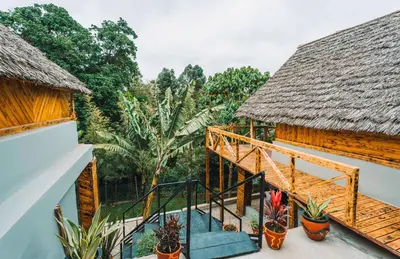 a view from the balcony of a house with plants at Samora River Lodge in Kioga