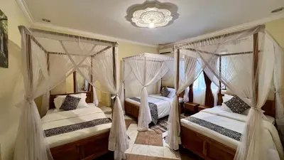 two beds in a bedroom with curtains and a chandelier at Ultra Home - Bed and Breakfast in Themi