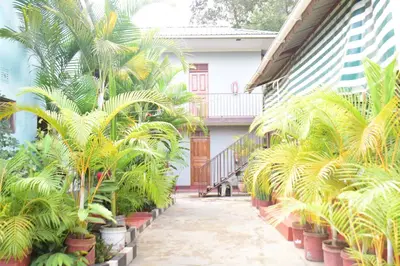 a courtyard with palm trees and plants in pots at Hostel in Tengeru